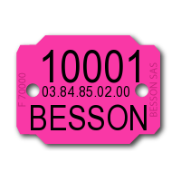 1 numéro + 2 lignes de texte (les 1000 pièces)
