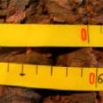 Chevillère de cubage 2,5 m.