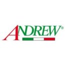 Chaussure Andrew