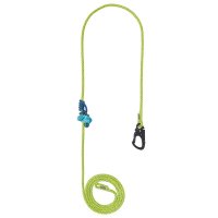 Longe de maintien Flexbee avec snapo et poulie de Courant