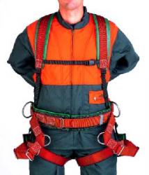 Ceinture verte