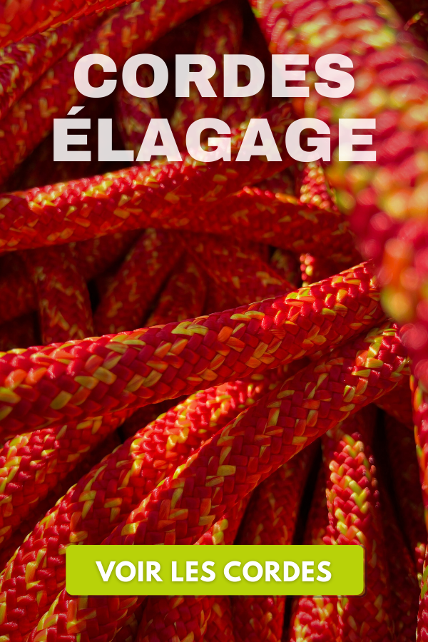 Cordes d'élagage