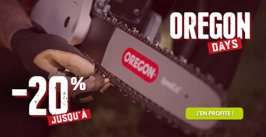 Oregon Days Le Besson