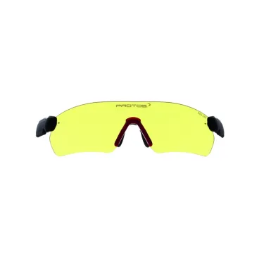 Lunettes de protection pour casque Protos PFANNER