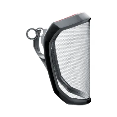 Visière F39 pour casque PROTOS