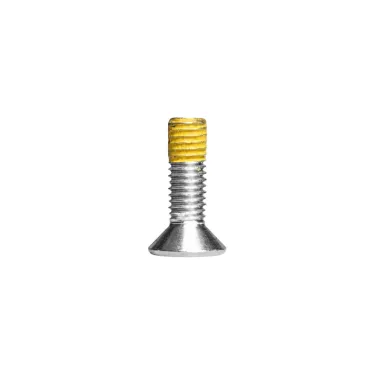 Vis fraisées Torx M8x20 pour fixation de pointe de grimpettes de démontage Distel