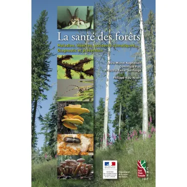 La santé des forêts