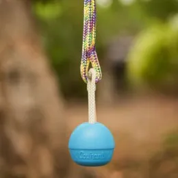 Boule de ferlette