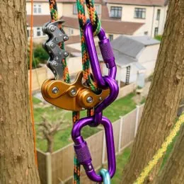 Descendeur élagage