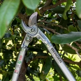 Outils d'élagage