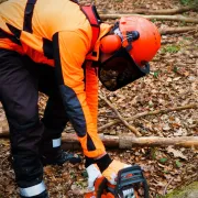 Casque forestier Yukon - OREGON