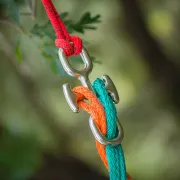 Zoom sur le connecteur onnecteur Backbone de Notch pour le démontage en élagage