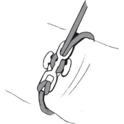 Schéma du onnecteur Backbone de Notch pour le démontage en élagage