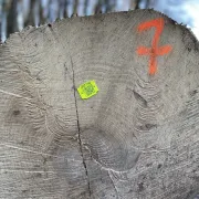 Plaquettes d'identification ORANGE - Marquage Laser - Numéro seul les 1000 pièces