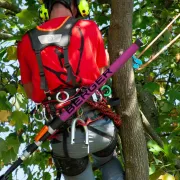 Utilisation de la perche télescopique carbone ArboRapid PINKtober 4 éléments de BERGER