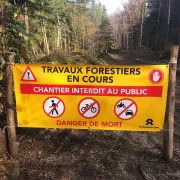 Bâche de signalisation de travaux forestiers, 150 x 80 cm avec oeillets - LE BESSON