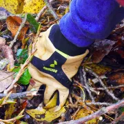 Zoom sur les gants en cuir PIQUANT anti-épines de Rostaing