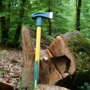 merlin éclateur standard de LEBORGNE