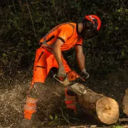 Plan sur le t-shirt manches courtes Hi-Viz Treehog de Treehog