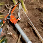 Utilisation de l'échenilloir pour perche télescopique d'élagage de Bahco