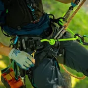 Utilisation du baudrier Catalyst de Notch pour travaux d'élagage