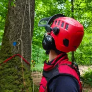 Casque de protection Tectum Air, Jaune - EDELRID