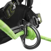 Zoom sur le baudrier TreeRex II de Edelrid