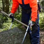 Utilisation du compas forestier Waldmeister de 80 cm avec une triple graduation (profil ovale) de NESTLE