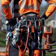 Utilisation du baudrier d'élagage professionnel de Husqvarna