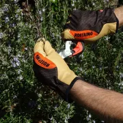 Mise en contexte des gants de débardage en cuir de Rostaing