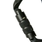 Zoom sur le mousqueton noir D-classic 3000 Triple de Edelrid