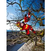 Casque Protos Integral Arborist PFANNER (Orange et Noir)