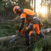 Casque Forestier Technical Mips, orange - HUSQVARNA