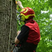 Arrière du Casque Protos Integral Rouge et Jaune Pfanner