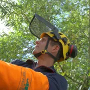 Visière d'élagage Grillagée Vizen Mesh pour casque Vertex/Strato -  PETZL