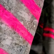 Poignée pour aérosol