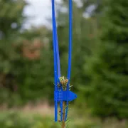 Fixation de la protection de bourgeon Cactus PRO bleu de Plantagard (x100)