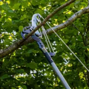 Utilisation de l'Échenilloir ArboRapid de Berger