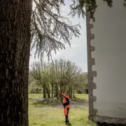 Scie d’élagage pour perche télescopique, lame courbe de 360 mm avec crochet en acier trempé - BAHCO