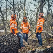 Mise en contexte des coquilles antibruit avec communication Bluetooth, X-COM Active de HUSQVARNA