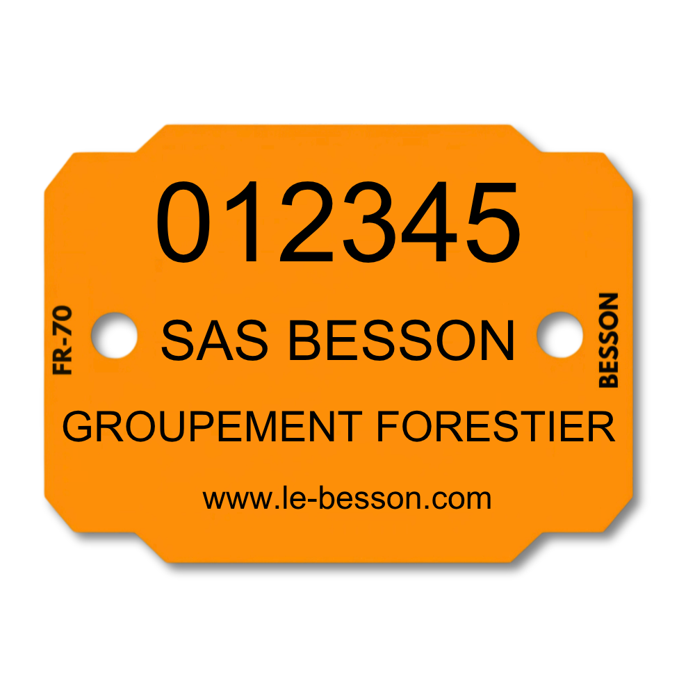 Plaquettes d’identification personnalisées 4 lignes