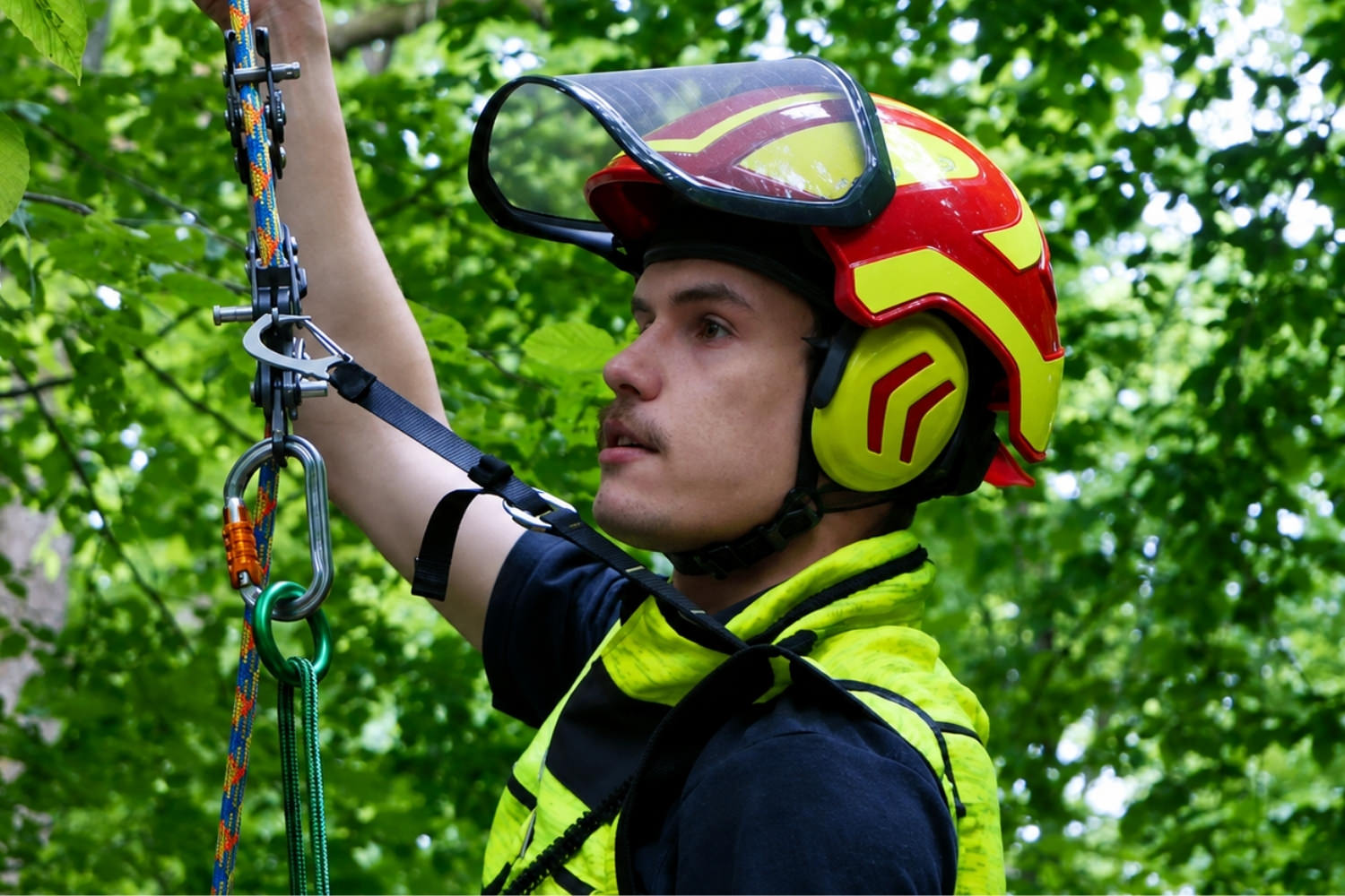 Élagueur équipé d’un casque lors d’un travail sur corde