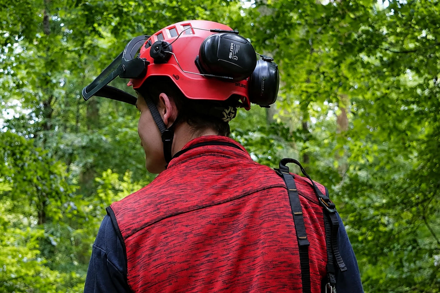 Élagueur équipé d’un casque avec protection auditive en milieu forestier
